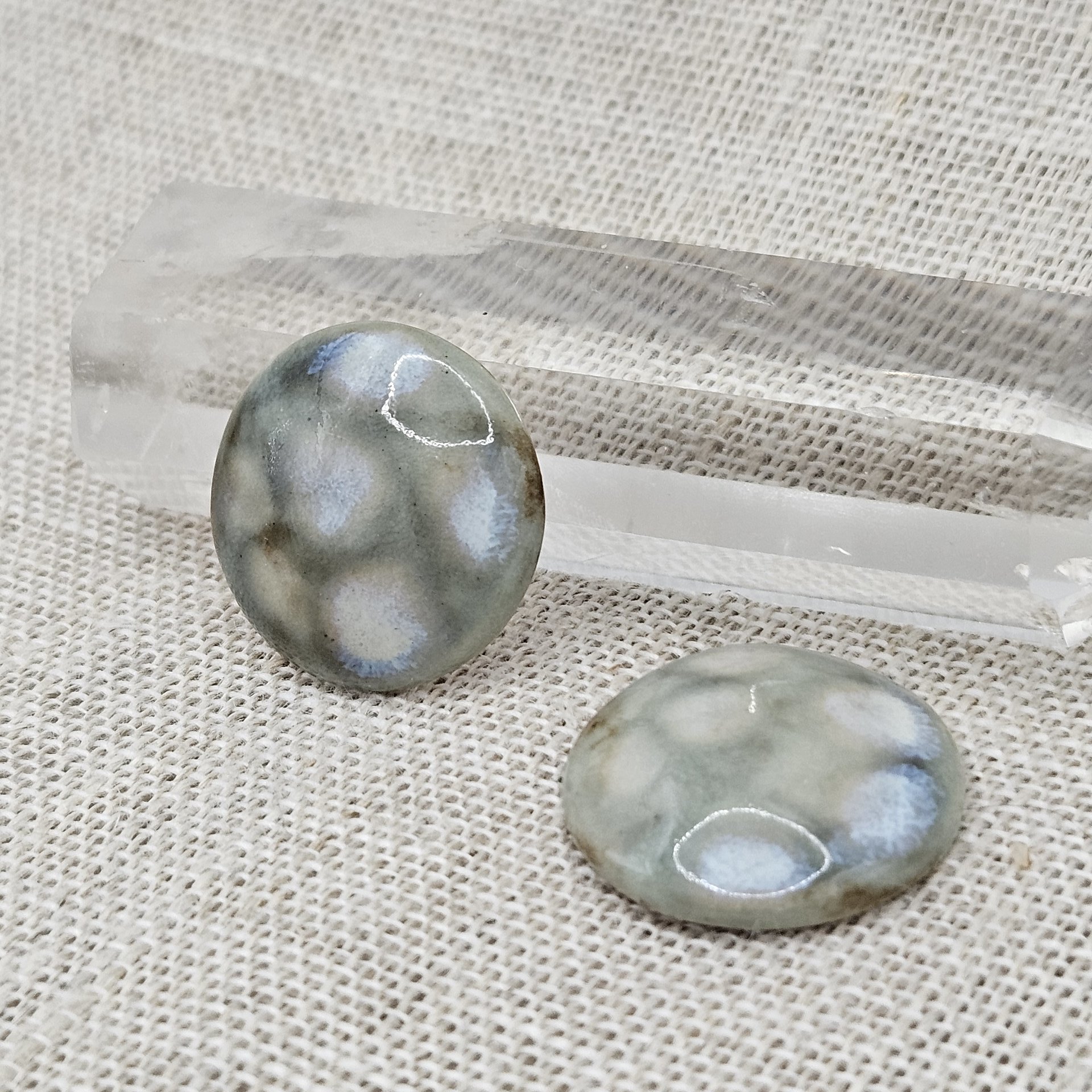 Round Artisan Ceramic Cabochons, Brownish Mint Opal Dots, one piece