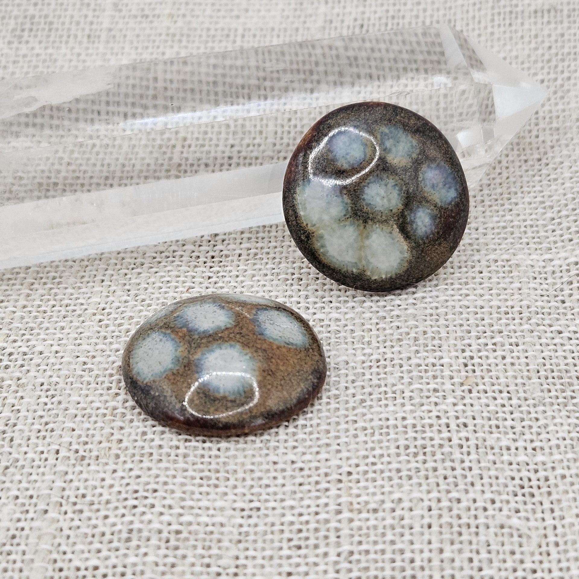 Round Artisan Ceramic Cabochons, Dark Brown White Dots, one piece